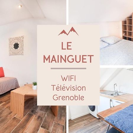 Le Mainguet - Appartement Cosy - Grenoble Bagian luar foto