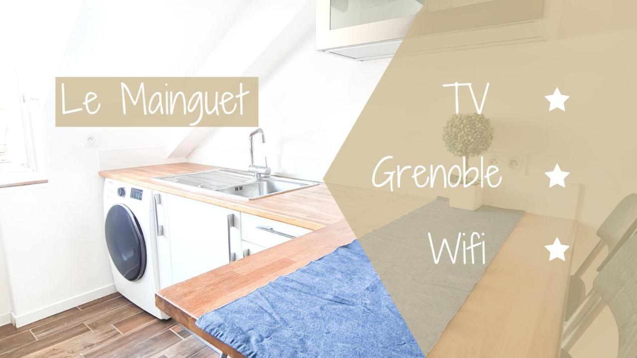Le Mainguet - Appartement Cosy - Grenoble Bagian luar foto